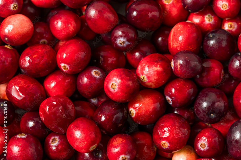 Organic Raw Red Cranberries Organic Raw Red Cranberries