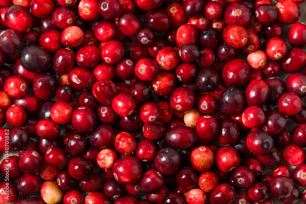Organic Raw Red Cranberries Organic Raw Red Cranberries