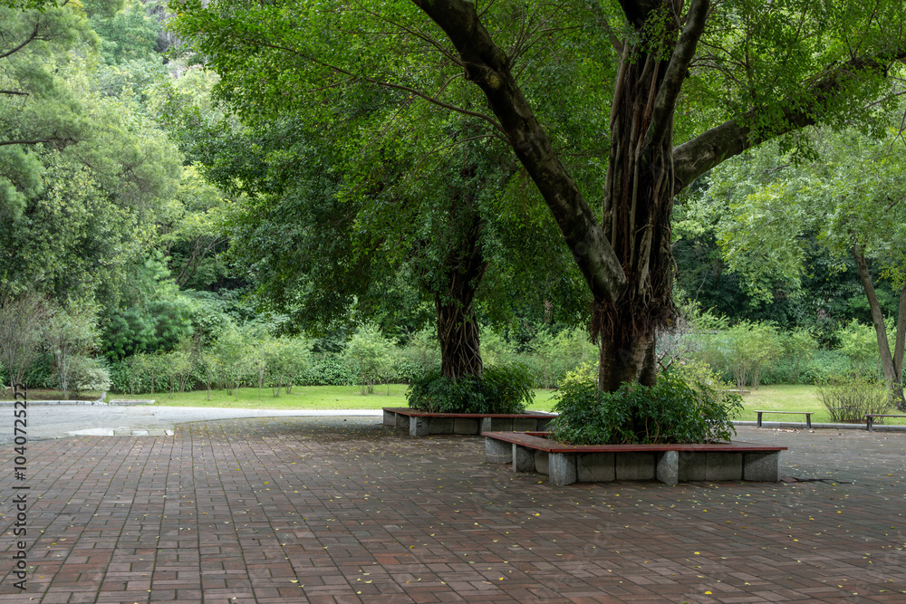 A serene public garden in an urban park features mature shade trees, seating benches, Brick-Paved ground and a grassy lawn. Community recreational outdoor space. A serene public garden in an urban park features mature shade trees, seating benches, Brick-Paved ground and a grassy lawn. Community recreational outdoor space.