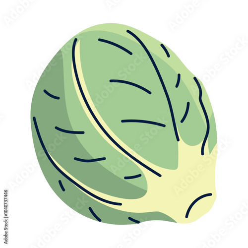 Vector image of a green cabbage icon with a white background