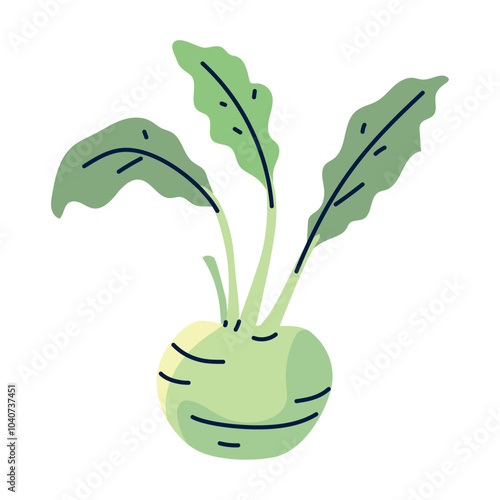 Colorful flat vector illustration of a fresh green kohlrabi with leaves, representing a healthy root vegetable used in vegetarian and organic food recipes
