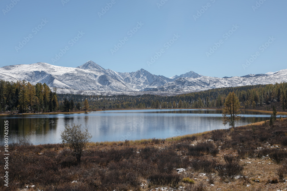Panoramic landscape of a mountain lake in a northern nature: snowy mountain peaks, dense coniferous forest. The season is golden autumn, September: yellow and red red grass, golden foliage. Panoramic landscape of a mountain lake in a northern nature: snowy mountain peaks, dense coniferous forest. The season is golden autumn, September: yellow and red red grass, golden foliage.