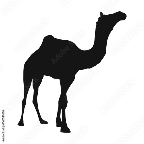 Camel Silhouette