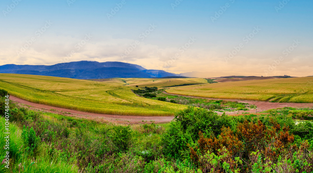 Golden wheat field at the mountain's foothill, with rolling hills and spring flowers in the foreground Golden wheat field at the mountain's foothill, with rolling hills and spring flowers in the foreground