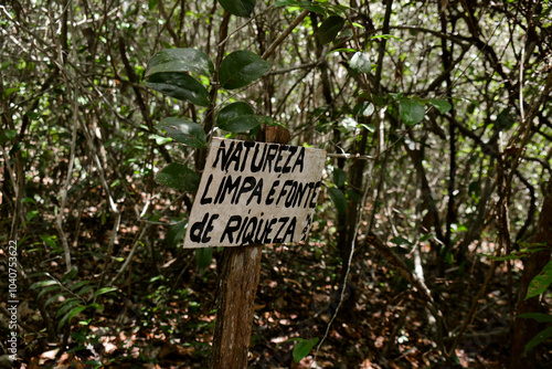 signs in the forest, signposts, nature preservation signs, forest, "clean nature is a source of wealth", graphic resources, brazilian forest, environment, nature phrases