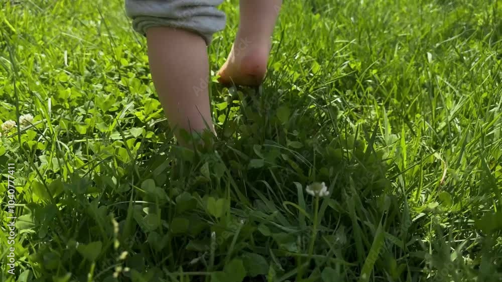 Child walking on grass, boy's first steps Child walking on grass, boy's first steps