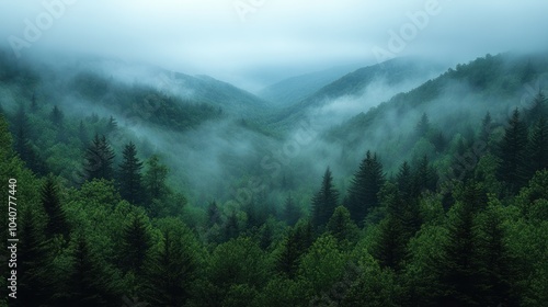 Serene misty valley enveloped in lush greenery and tranquility.