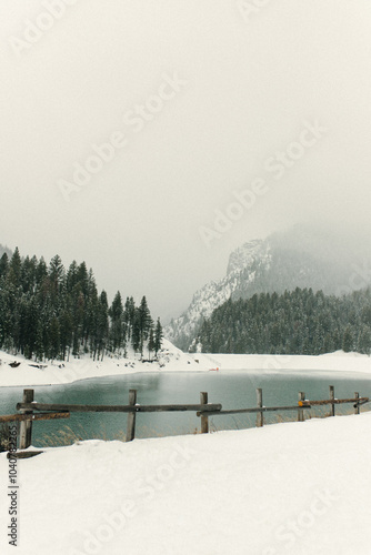 Wallpaper Mural Winter Snowy Mountain  Torontodigital.ca