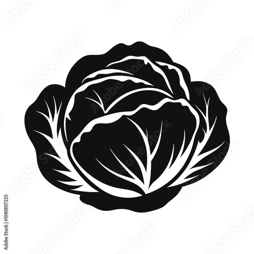 Cabbage fresh vegetable vector silhouette