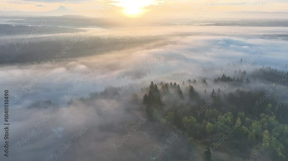 Early morning fog drifts through the Willamette Valley in West Linn, Oregon. This scenic area lies just south of the Pacific Northwest city of Portland.