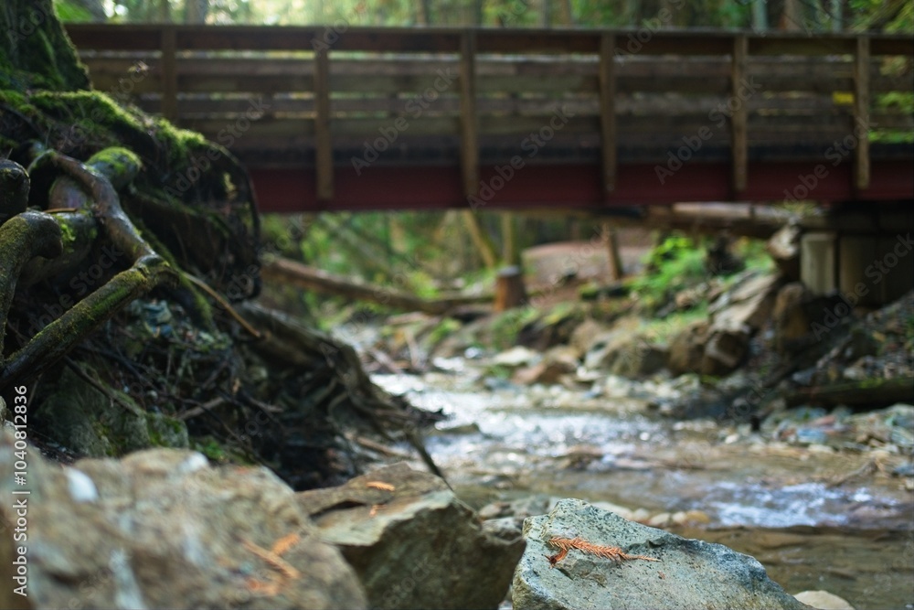 Peaceful Forest Stream Under Wooden Bridge Peaceful Forest Stream Under Wooden Bridge