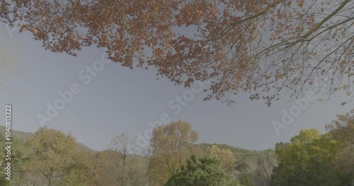 4K wide, Vlog, Camping in Korea's Colorful Nature, 4096x2160 , 23.98p
