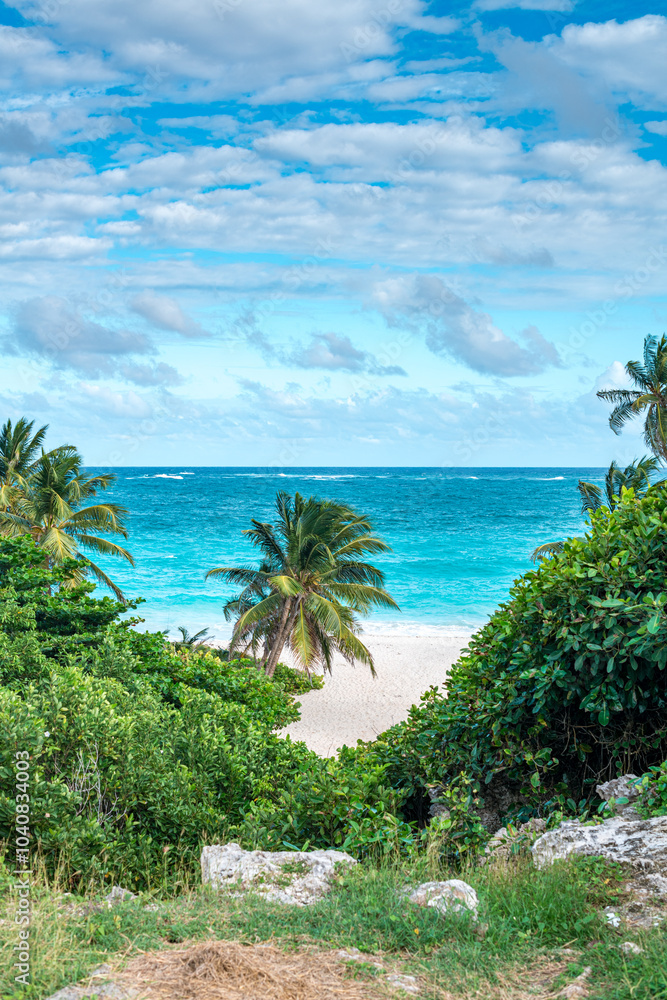 Fototapeta premium beach with palm trees