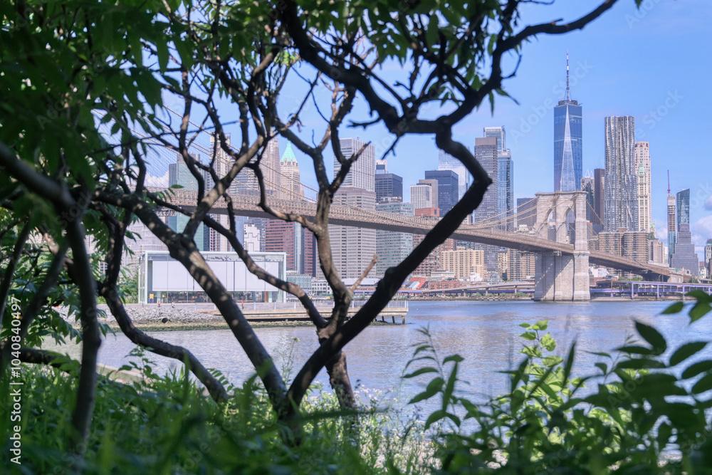 The New York City skyline from Brooklyn, New York.