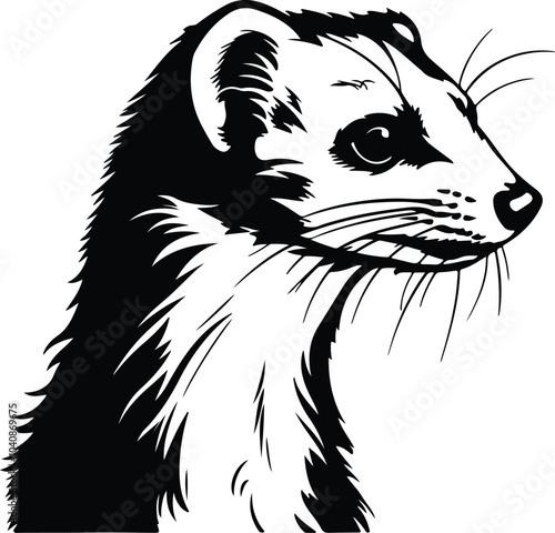 Black silhouette of weasel head