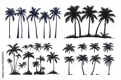 coconut tree silhouette vector illustration