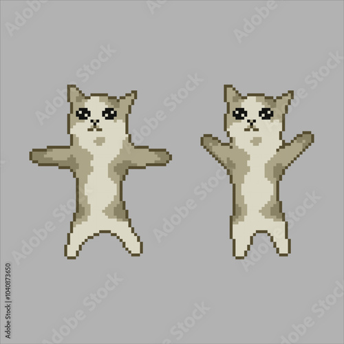 Jumping cat, pixel art meme illustration