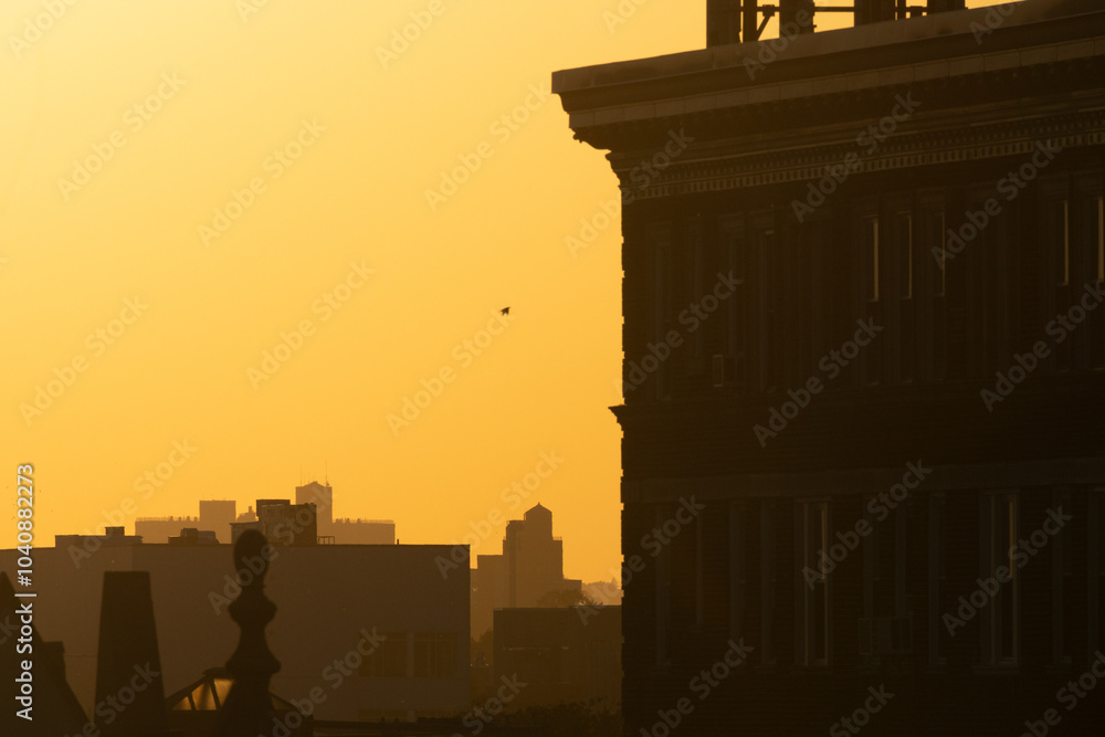 Obraz premium sunset over the city