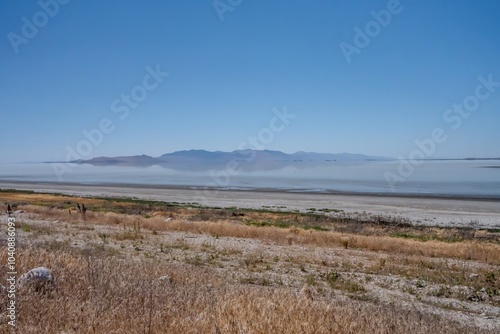 dunes at the lake