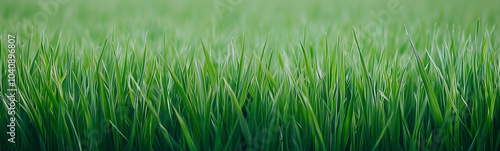 Emerald Meadow: A tranquil ...