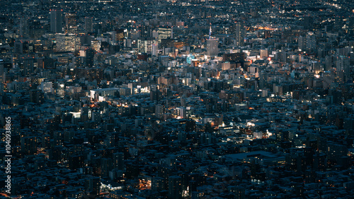 Bild auf Leinwand Panoramic night view of Sapporo, Hokkaido, Japan