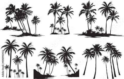 Palm tree Premium vector Collection Silhouette illustrations 
