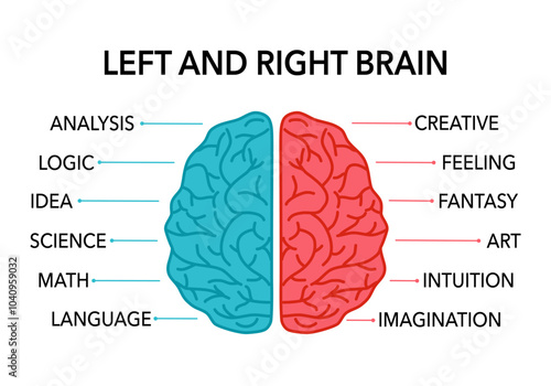 Left and right human brain concept. Creative part and logic part of brain infographic vector illustration.