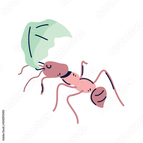 Vector image of ant icon with white background