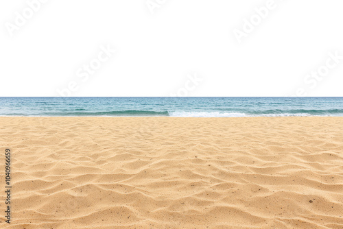 Sandy Beach Serenity isolated on transparent background