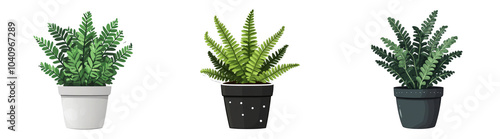 Decorative potted fern illustration isolated on transparent PNG perfect for plant decor or indoor gardening visuals.