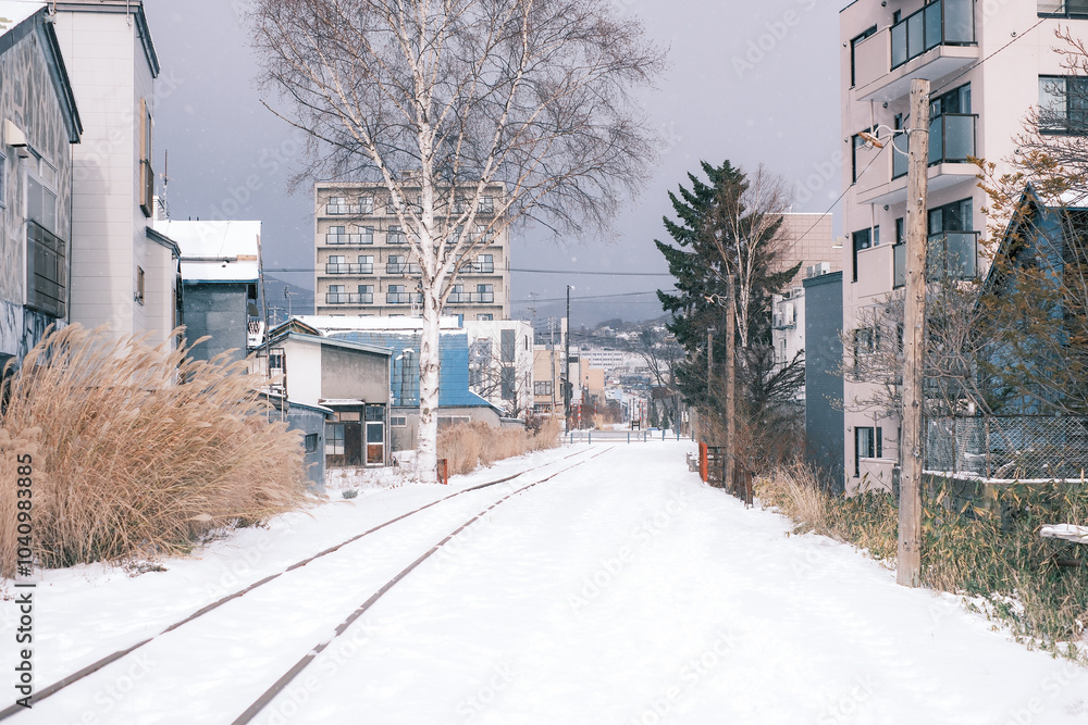 Street scene after snow in winter in Otaru, Hokkaido, Japan Street scene after snow in winter in Otaru, Hokkaido, Japan