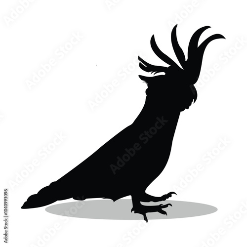 Cockatoo silhouette illustration Design Cockatoo silhouette icon