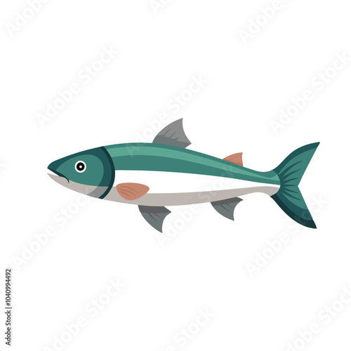 Steelhead animal isolated flat vector illustration on white background.