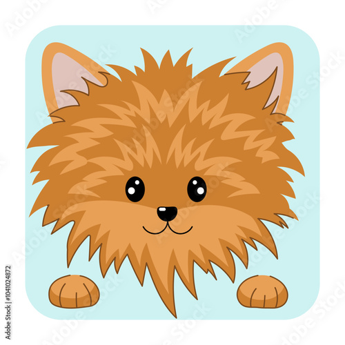 Spitz dog face flat vector illustrtion. Spitz dog icon
