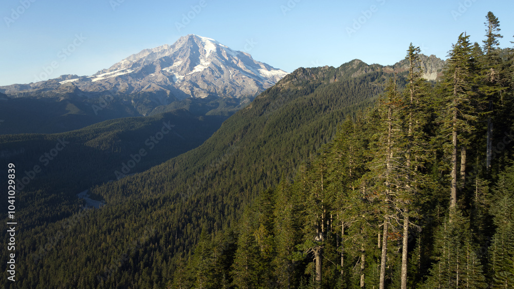 Obraz premium Mount Rainier Towering over Dense Forested Slopes, Washington State, USA