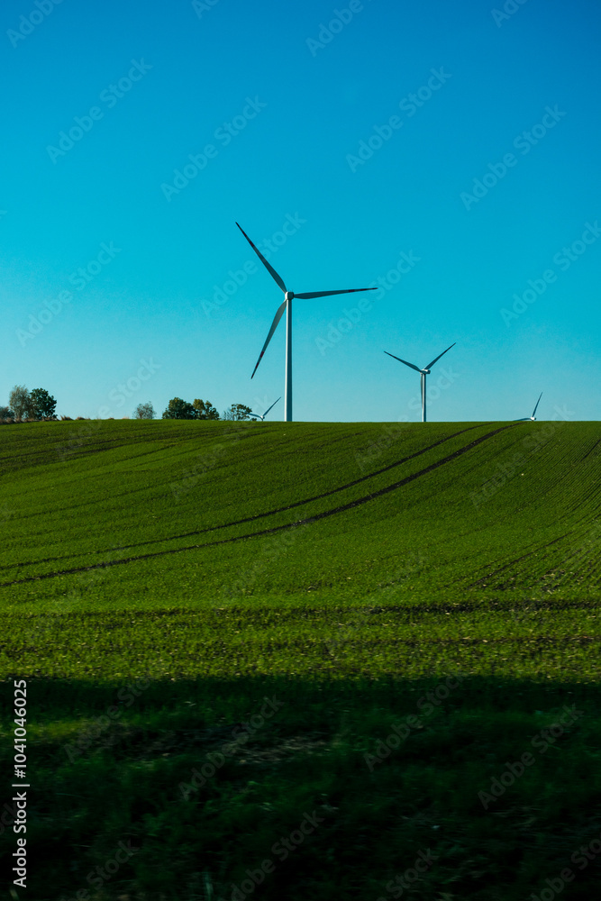 Field of green grass with two wind turbines in the background Field of green grass with two wind turbines in the background