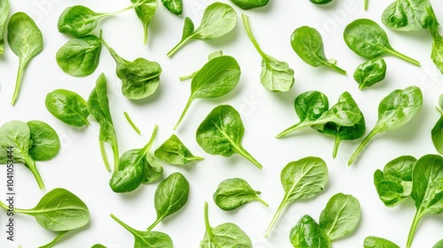 Wallpaper Mural Fresh spinach leaves scattered on a white background, highlighting their vibrant green color. Torontodigital.ca