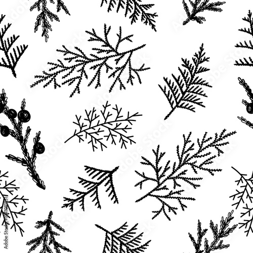 Seamless pattern background with winter christmas holly, spruce branches, twigs with leaves, berries. Floral botanical elements. Hand drawn line vector illustration.