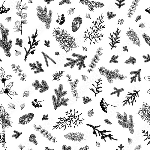 Seamless pattern background with winter christmas holly, spruce branches, twigs with leaves, berries. Floral botanical elements. Hand drawn line vector illustration.