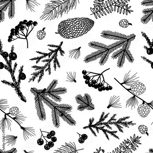 Seamless pattern background with winter christmas holly, spruce branches, twigs with leaves, berries. Floral botanical elements. Hand drawn line vector illustration.