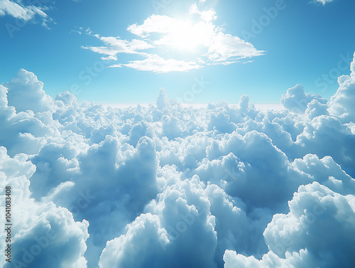 the sky from the perspective of someone looking up
