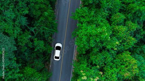 Canvastavla Aerial view of dark green forest road and white electric car Natural landscape a