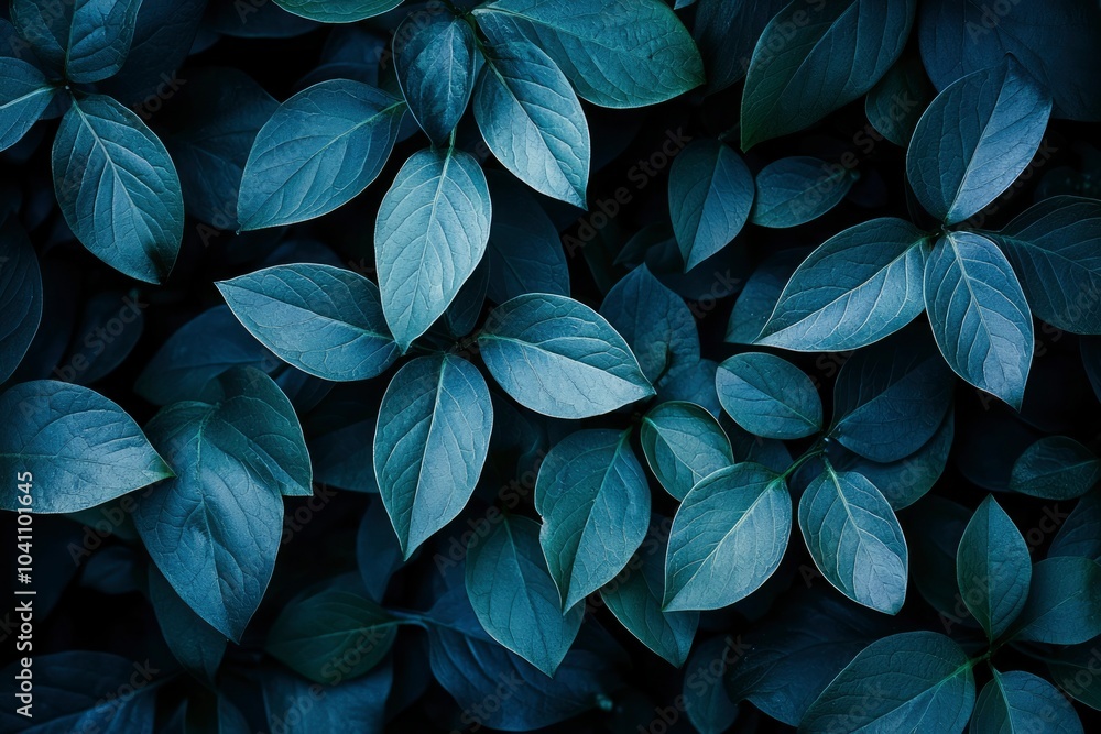 A Close-Up View of Lush, Deep Blue-Green Foliage A Close-Up View of Lush, Deep Blue-Green Foliage