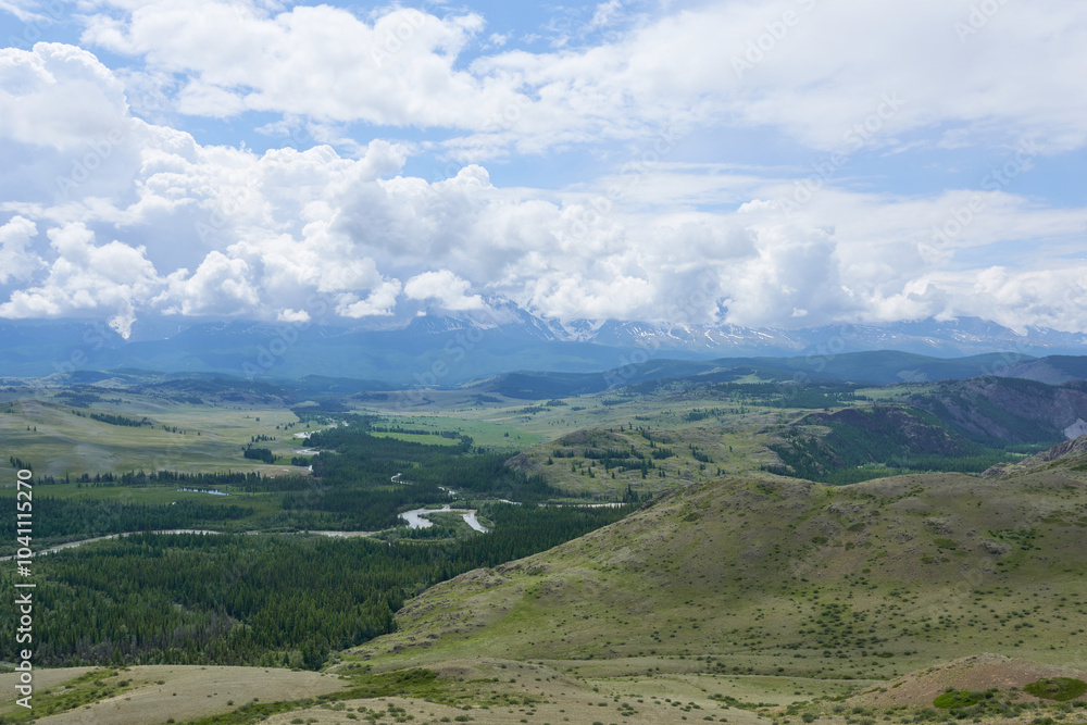 Naklejka premium A bird's eye view of the river in the mountains. Summer, Mountain Altai.