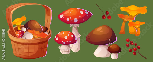 Wicker basket with autumn mushrooms and berries. Cartoon vector illustration set of fall edible and poisonous season plants - porcini fungus, fly agaric and chanterelles, red small fruits on branch.