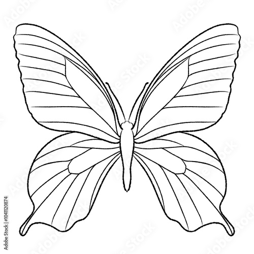 Black butterfly with blue and yellow (Papilio polyxenes) illustration on transparent background. Kids coloring page