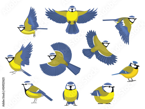 Tit Blue Bird Winter Various Poses Cartoon Vector Character