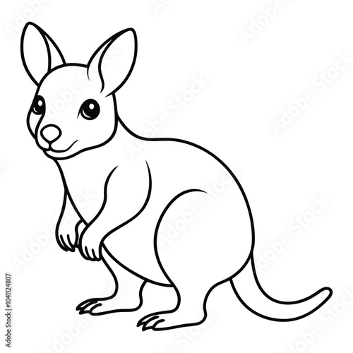  Wallaby cartoon