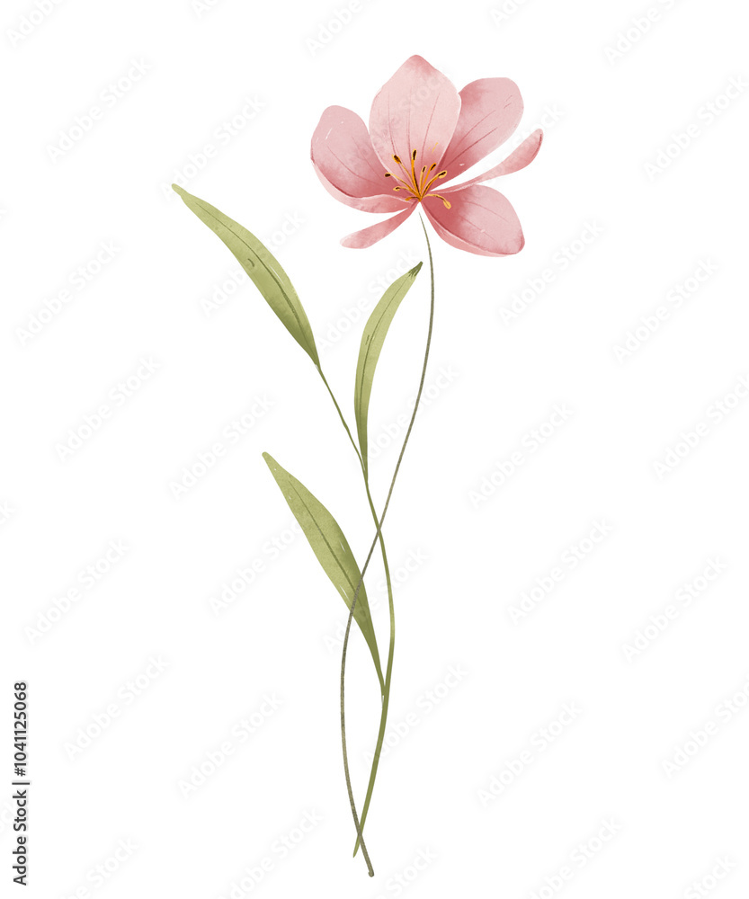 Naklejka premium Flower watercolor, floral clip art. Illustration perfectly for printing design on invitations, cards, posters, wall art and other. Isolated on white background. Hand painting.