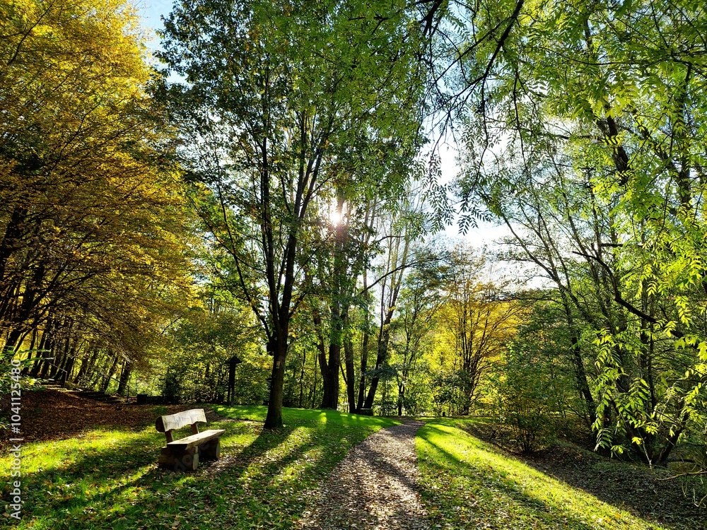 Obraz premium Herbstlich anmutende Lichtstimmung im Park